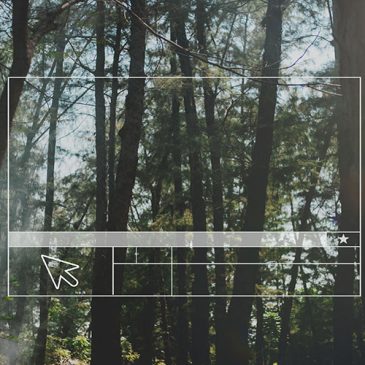 Picture-in-Picture Functionality: A Game-Changer for Multitasking